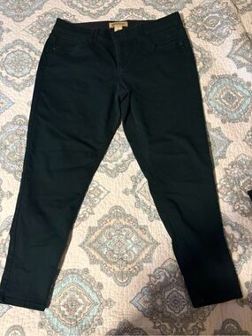 Democracy Dark Green Skinny Pants